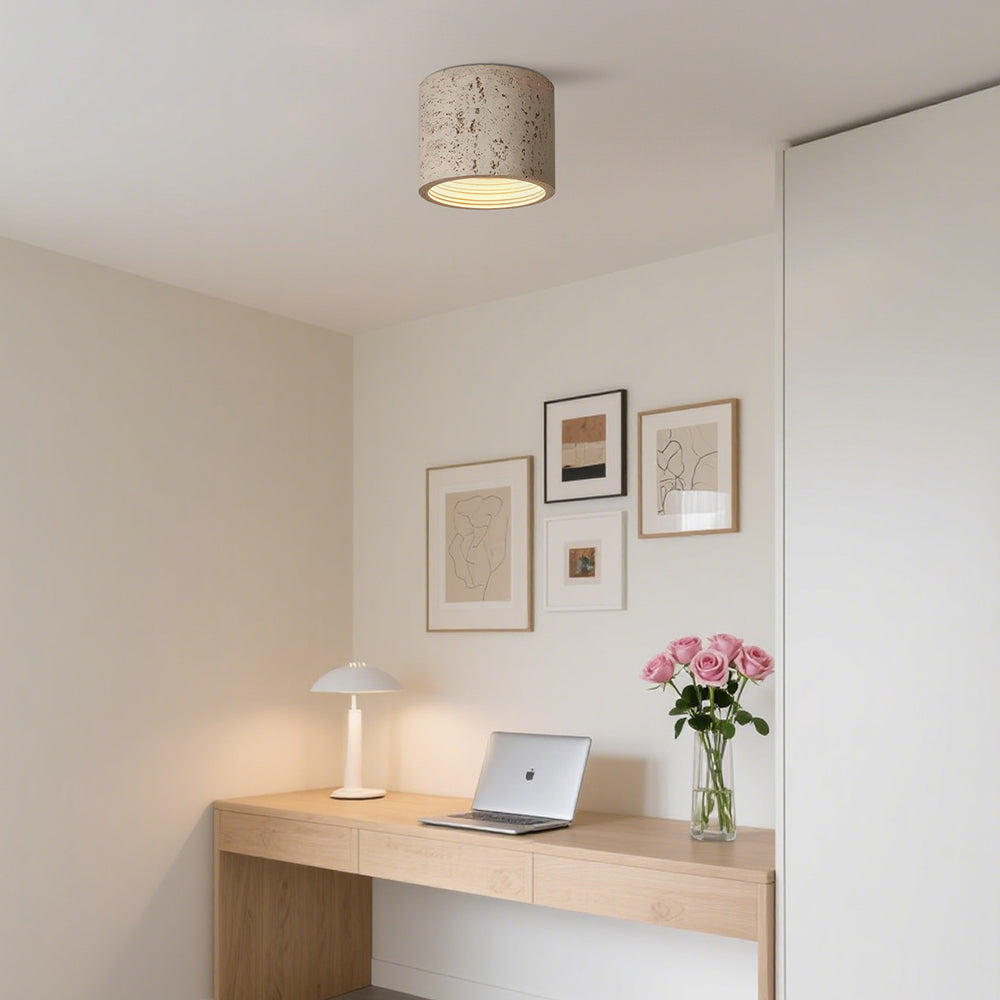 Matzwarte minimalistische plafondlamp